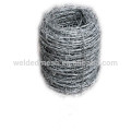 General Galvanized Barbed Wire Fence/Electro Galvanized Barbed Wire Fence/real factory in Anping